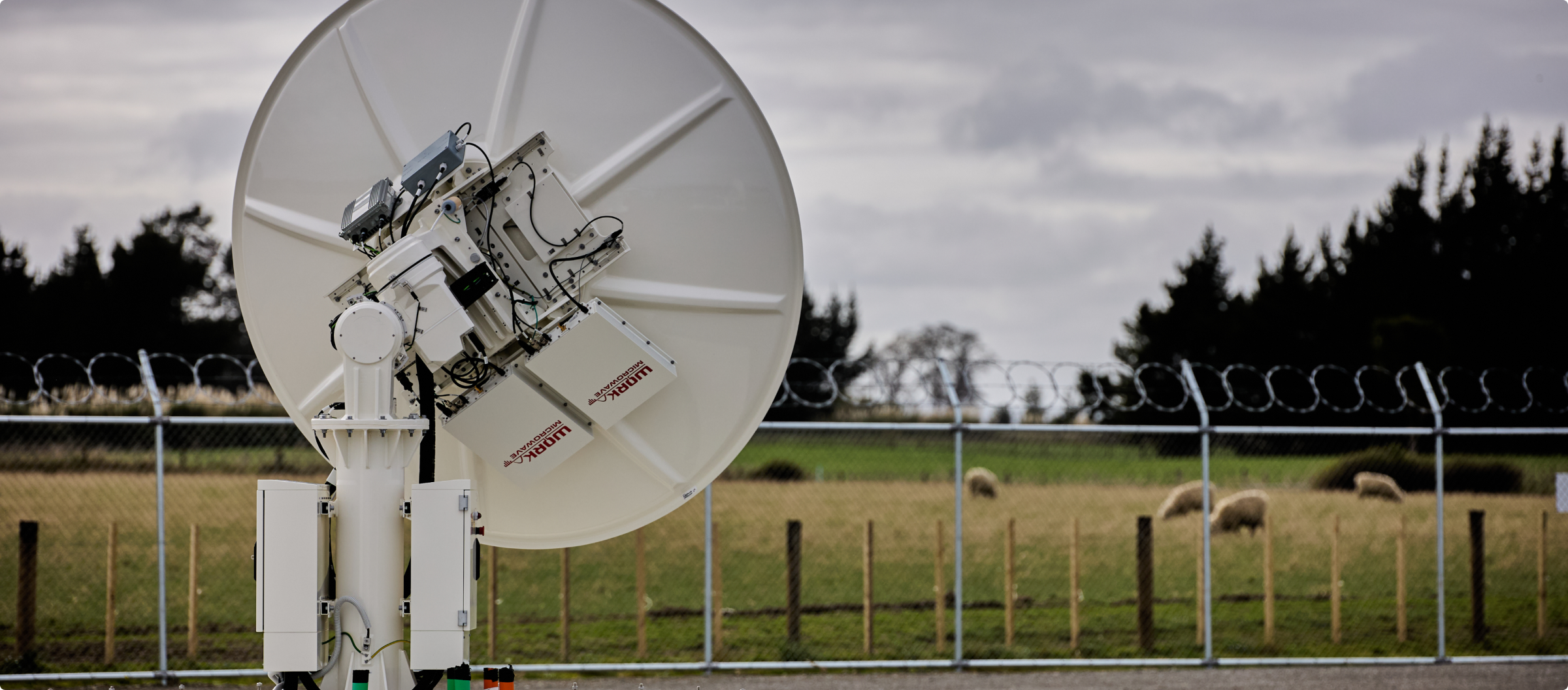 Photo of a satellite dish in New Zealand surrounded by a field of sheep