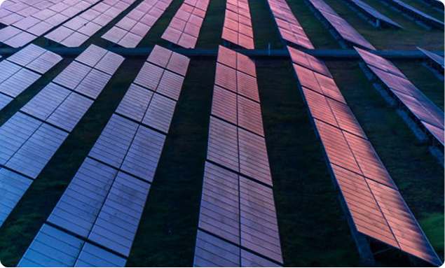 Image of rows of solar panels