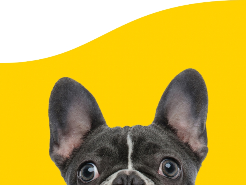CTA Card-contactus@2x