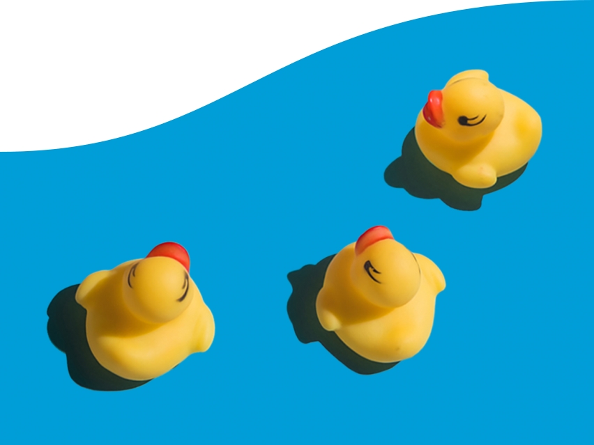 CTA Card-poolpolans@2x